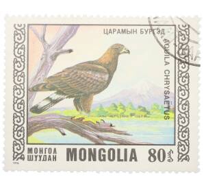 Почтовая марка 80 мунгу 1976 года Монголия «Охраняемые виды хищных птиц III - Беркут» — Фото №1
