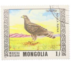 Почтовая марка 1 тугрик 1976 года Монголия «Охраняемые виды хищных птиц III - Степной орел»  — Фото №1