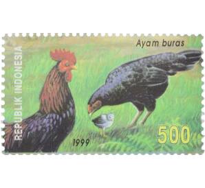 Почтовая марка 500 рупий 1999 года Индонезия «Домашние животные — Ayam buras» — Фото №1