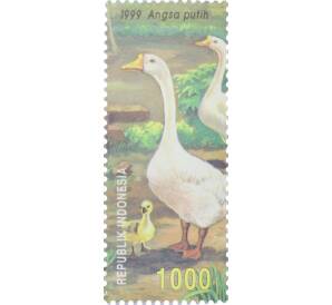Почтовая марка 1000 рупий 1999 года Индонезия «Домашние животные — Белый гусь» — Фото №1