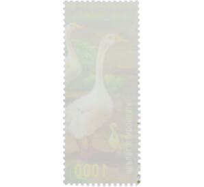 Почтовая марка 1000 рупий 1999 года Индонезия «Домашние животные — Белый гусь» — Фото №2