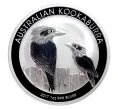 Монета 1 доллар 2017 года Австралия — Австралийская Кукабура (Артикул M2-35213)