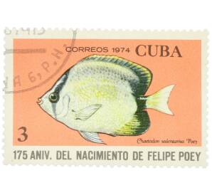 Почтовая марка 3 сентаво 1974 года Куба «175 лет со дня рождения Фелипе Поэя — Рифовая рыба-бабочка (Chaetodon sedentarius)» — Фото №1