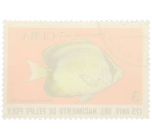 Почтовая марка 3 сентаво 1974 года Куба «175 лет со дня рождения Фелипе Поэя — Рифовая рыба-бабочка (Chaetodon sedentarius)» — Фото №2