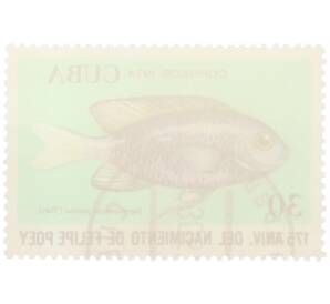 Почтовая марка 30 сентаво 1974 года Куба «175 лет со дня рождения Фелипе Поэя — Eupomacentrus partitus» — Фото №2