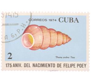 Почтовая марка 2 сентаво 1974 года Куба «175 лет со дня рождения Фелипе Поэя — Пинерия (Pineria terebra)» — Фото №1