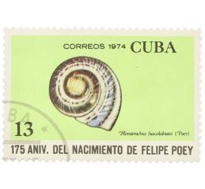 Почтовая марка 13 сентаво 1974 года Куба «175 лет со дня рождения Фелипе Поэя — Hemitrochus fuscolabiata» — Фото №1
