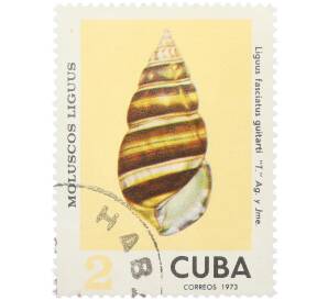 Почтовая марка 2 сентаво 1973 года Куба «Моллюски Liguus — Liguus fasciatus guitarti» — Фото №1