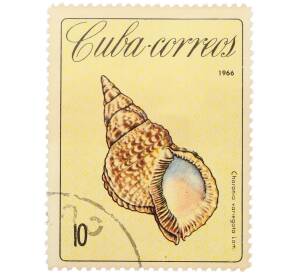 Почтовая марка 10 сентаво 1966 года Куба «Морские раковины — Харония пtстрая (Charonia variegata)» — Фото №1