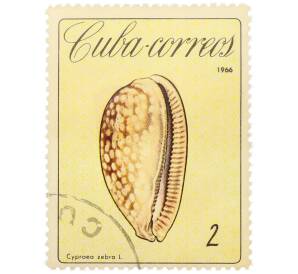 Почтовая марка 2 сентаво 1966 года Куба «Кубинские раковины — Тигровая каури (Cypraea zebra L.)» — Фото №1