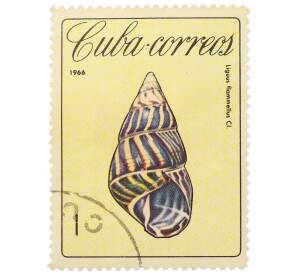 Почтовая марка 2 сентаво 1966 года Куба «Кубинские раковины — Древесная улитка (Liguus flammellus)» — Фото №1