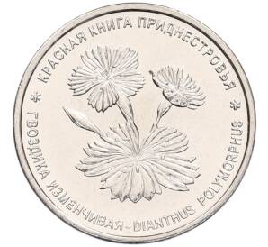 1 рубль 2025 года Приднестровье «Красная книга — Гвоздика изменчивая» — Фото №1