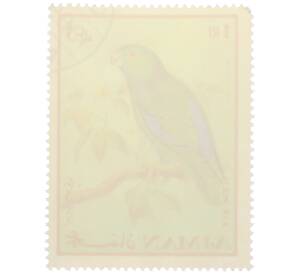 Почтовая марка 1 риал 1969 года Аджман «Попугаи - Dusky-billed parrotlet» (Надпись авиапочты) — Фото №2