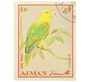 Почтовая марка 1 риал 1969 года Аджман «Попугаи - Желтолобый амазон» (Надпись авиапочты) — Фото №1