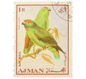 Почтовая марка 1 риал 1969 года Аджман «Попугаи - Молуккский висячий попугайчик» (Надпись авиапочты) — Фото №1