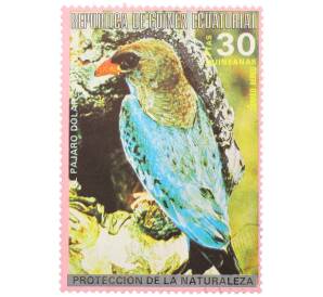 Почтовая марка 30 песет 1972 года Экваториальная Гвинея «Птицы Австралии - Широкорот восточный» — Фото №1
