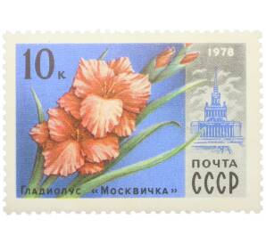 Почтовая марка 10 копеек 1978 года «Гладиолус Москвичка» — Фото №1
