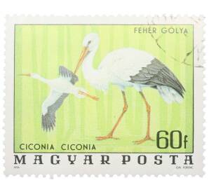 Почтовая марка 60 филлеров 1976 года Венгрия «Птицы Национального парка Хортобадь — Белый аист» — Фото №1
