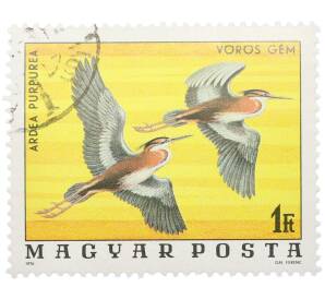 Почтовая марка 1 форинт 1976 года Венгрия «Птицы Национального парка Хортобадь - Рыжая цапля» — Фото №1