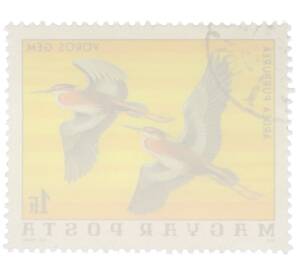 Почтовая марка 1 форинт 1976 года Венгрия «Птицы Национального парка Хортобадь - Рыжая цапля» — Фото №2