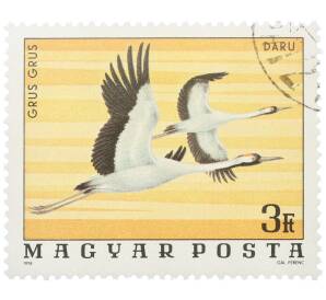 Почтовая марка 3 форинта 1976 года Венгрия «Птицы Национального парка Хортобадь - Серый журавль» — Фото №1