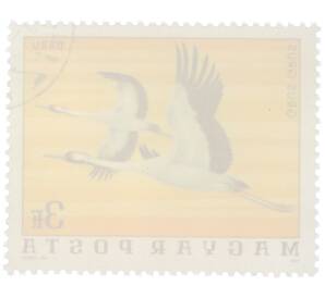 Почтовая марка 3 форинта 1976 года Венгрия «Птицы Национального парка Хортобадь - Серый журавль» — Фото №2