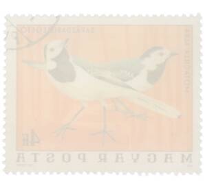 Почтовая марка 4 форинта 1976 года Венгрия «Птицы Национального парка Хортобадь - Белая трясогузка» — Фото №2