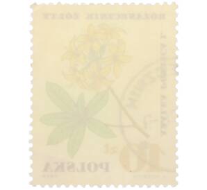 Почтовая марка 10 злотых 1967 года Польша «Лекарственные растения — Азалия понтийская» — Фото №2