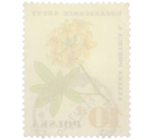 Почтовая марка 10 злотых 1967 года Польша «Лекарственные растения — Азалия понтийская» — Фото №2