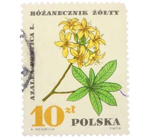 Почтовая марка 10 злотых 1967 года Польша «Лекарственные растения — Азалия понтийская» — Фото №1