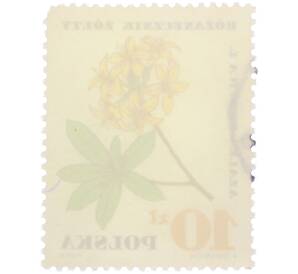 Почтовая марка 10 злотых 1967 года Польша «Лекарственные растения — Азалия понтийская» — Фото №2