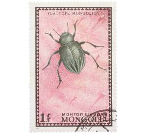 Почтовая марка 1 тугрик 1972 года Монголия «Насекомые Монголии — Platyope mongolica» — Фото №1