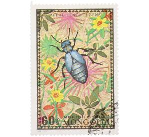 Почтовая марка 60 мунгу 1972 года Монголия «Насекомые Монголии — Meloe centripubens» — Фото №1