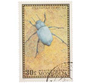 Почтовая марка 30 мунгу 1972 года Монголия «Насекомые Монголии — Sternoplax zichyi» — Фото №1