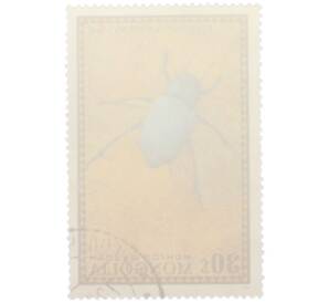 Почтовая марка 30 мунгу 1972 года Монголия «Насекомые Монголии — Sternoplax zichyi» — Фото №2