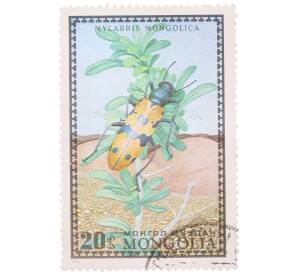 Почтовая марка 20 мунгу 1972 года Монголия «Насекомые Монголии — Mylabris mongolica» — Фото №1