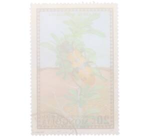 Почтовая марка 20 мунгу 1972 года Монголия «Насекомые Монголии — Mylabris mongolica» — Фото №2