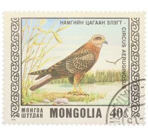 Почтовая марка 40 монго 1976 года Монголия «Охраняемые виды хищных птиц — Болотный лунь» — Фото №1