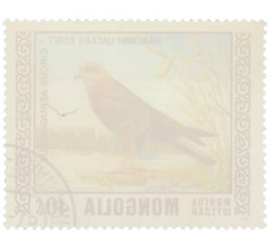 Почтовая марка 40 монго 1976 года Монголия «Охраняемые виды хищных птиц — Болотный лунь» — Фото №2