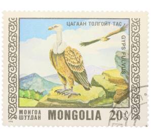 Почтовая марка 20 мунгу 1976 года Монголия «Охраняемые виды хищных птиц - Белоголовый сип» — Фото №1