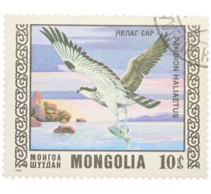Почтовая марка 10 тугриков 1976 года Монголия «Охраняемые виды хищных птиц - Скопа» — Фото №1