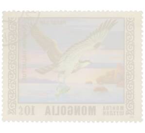 Почтовая марка 10 тугриков 1976 года Монголия «Охраняемые виды хищных птиц - Скопа» — Фото №2