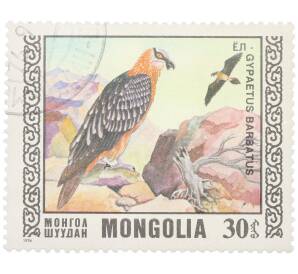 Почтовая марка 30 мунгу 1976 года Монголия «Охраняемые виды хищных птиц - Бородач» — Фото №1
