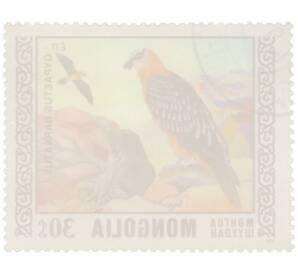 Почтовая марка 30 мунгу 1976 года Монголия «Охраняемые виды хищных птиц - Бородач» — Фото №2