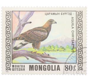 Почтовая марка 80 тугриков 1976 года Монголия «Охраняемые виды хищных птиц — Беркут» — Фото №1