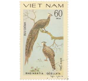 Почтовая марка 60 су 1978 года Вьетнам «Фазановые — Хохлатый аргус» — Фото №1