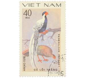 Почтовая марка 40 су 1978 года Вьетнам «Фазановые - Серебряный фазан» — Фото №1
