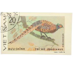 Почтовая марка 20 су 1978 года Вьетнам «Фазановые - Обыкновенный фазан» (Без перфорации) — Фото №1