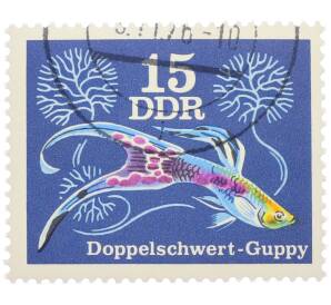 Почтовая марка 15 пфеннигов 1976 года Восточная Германия (ГДР) «Декоративные рыбы - Гуппи (двухмечехвостый)» — Фото №1