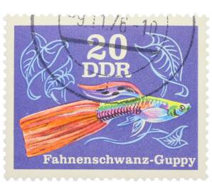 Почтовая марка 20 пфеннигов 1976 года Восточная Германия (ГДР) «Декоративные рыбы — Гуппи (флагохвостый)» — Фото №1